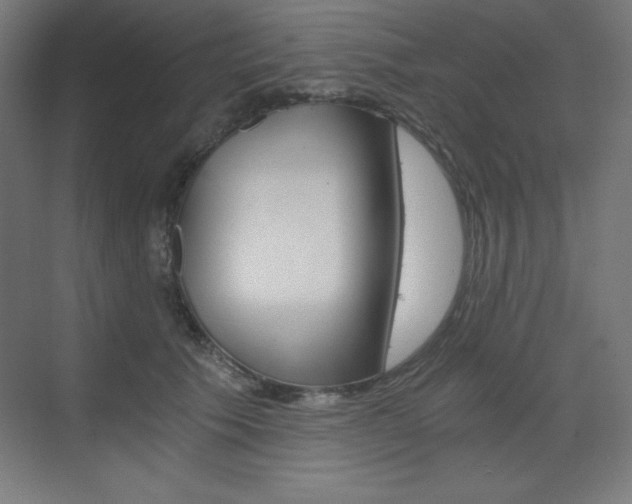 X0000073430609200607281007