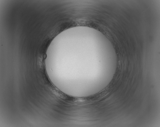 X0000073430610200607281007