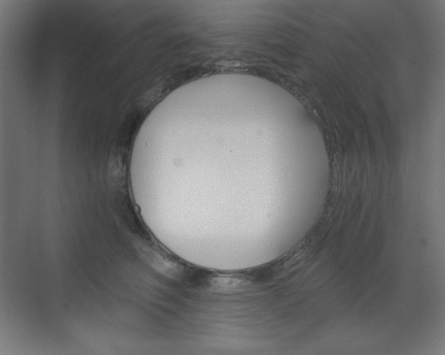 X0000073430614200607281007