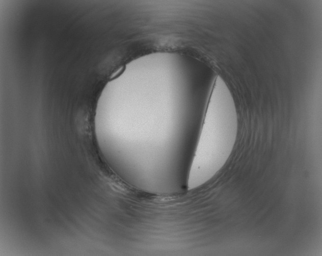 X0000073430619200607281007