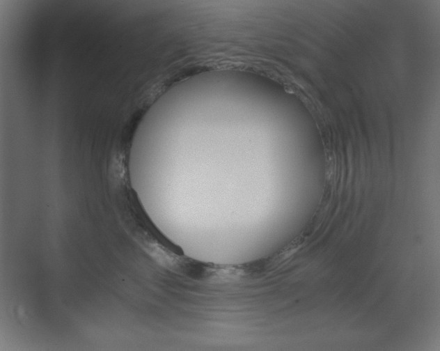 X0000073430621200607281007