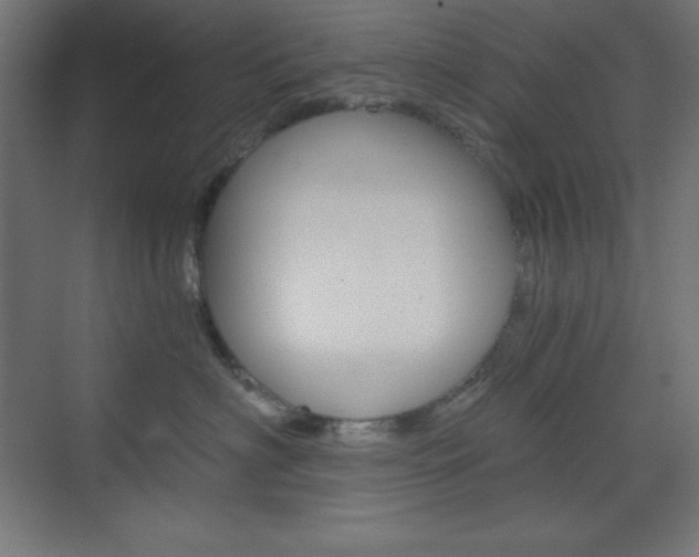 X0000073430622200607281007