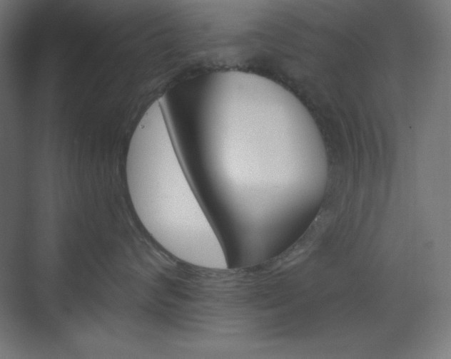 X0000073430624200607281007