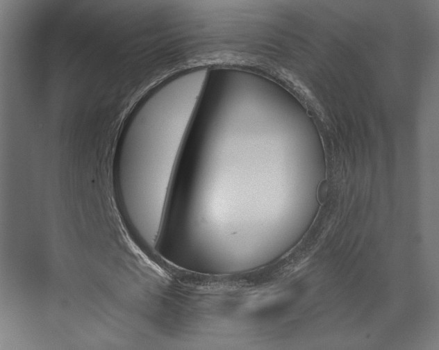 X0000073430625200607281006