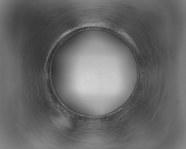 X0000073430628200607281006