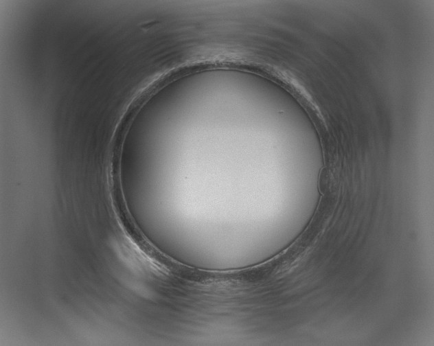 X0000073430629200607281006