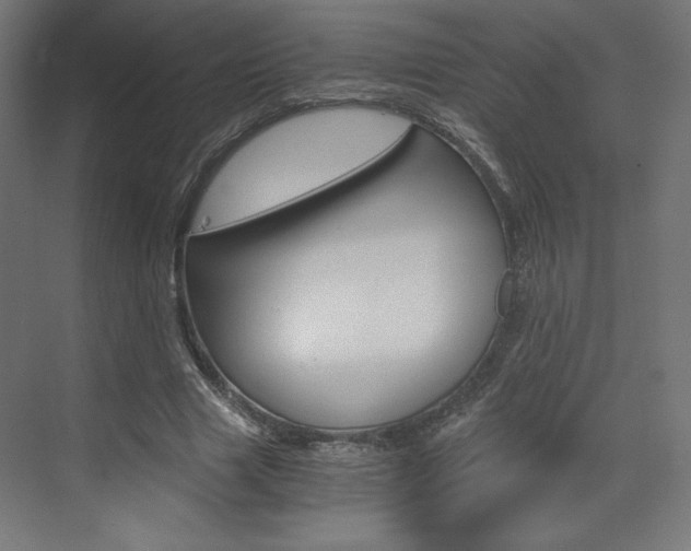 X0000073430633200607281006