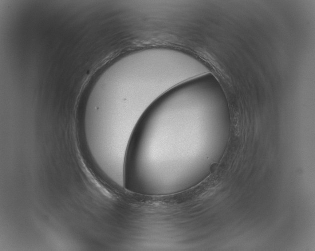 X0000073430634200607281006