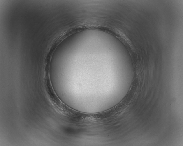 X0000073430635200607281006