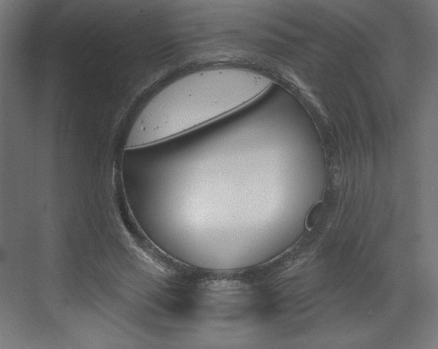 X0000073430637200607281006