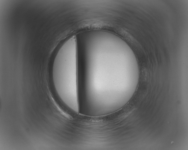 X0000073430638200607281006