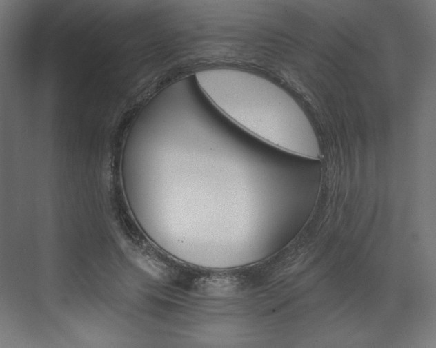 X0000073430639200607281006