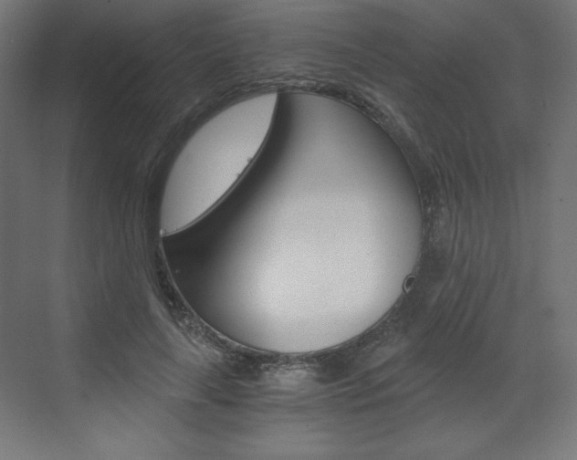X0000073430643200607281006