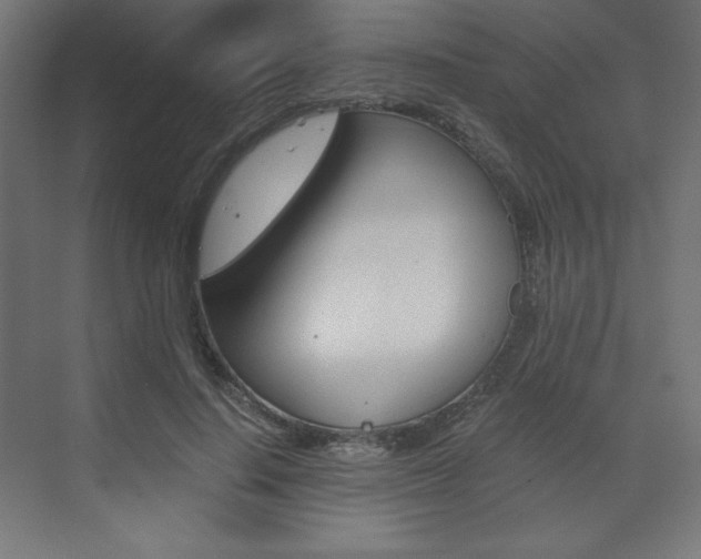 X0000073430644200607281006
