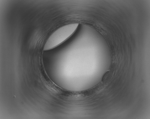 X0000073430646200607281006