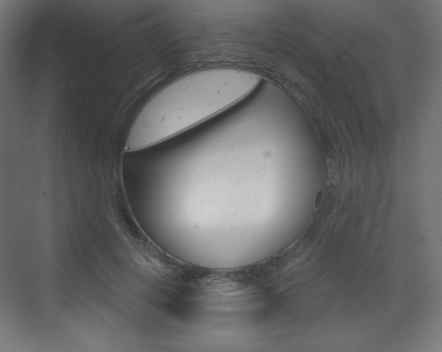X0000073430648200607281006