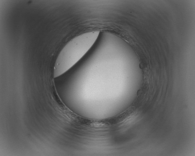 X0000073430650200607281006