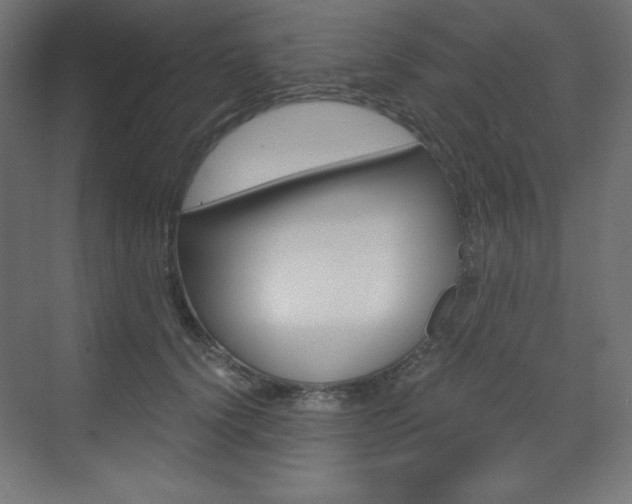 X0000073430656200607281006
