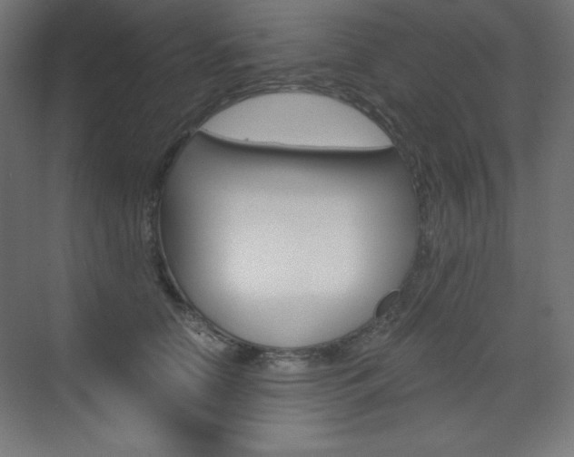 X0000073430658200607281006