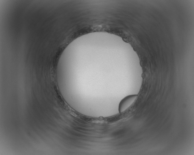 X0000073430659200607281006