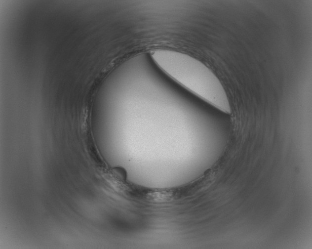 X0000073430660200607281006
