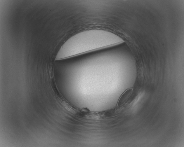 X0000073430661200607281006