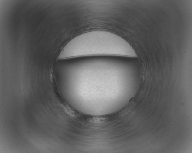X0000073430664200607281007