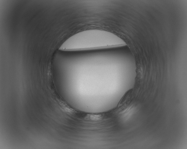 X0000073430665200607281007