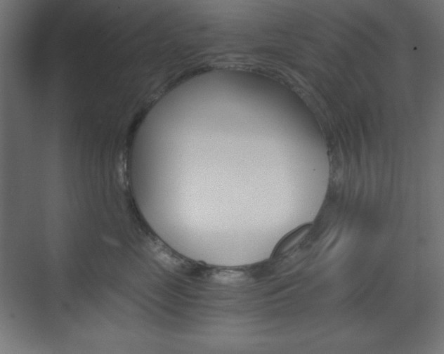 X0000073430669200607281007