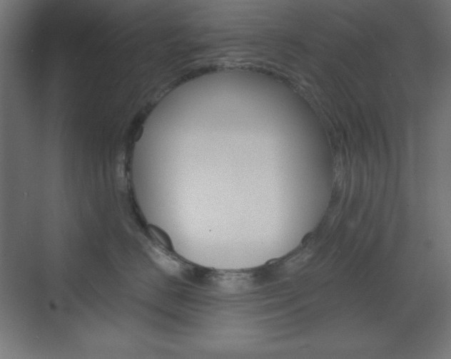X0000073430670200607281007