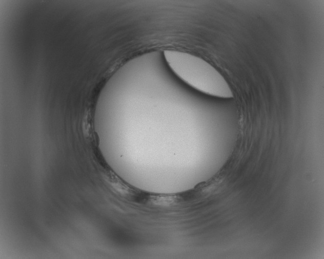 X0000073430671200607281007