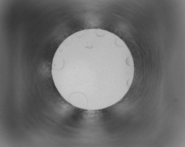 X0000073430672200607281007