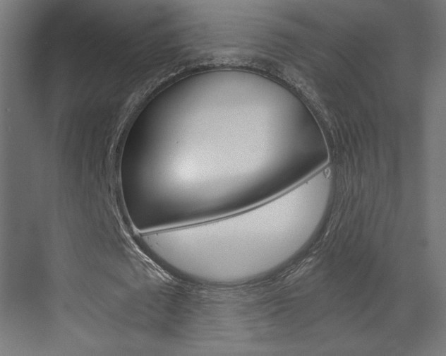 X0000073430673200607281006