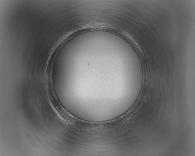 X0000073430674200607281006