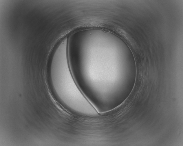 X0000073430677200607281006