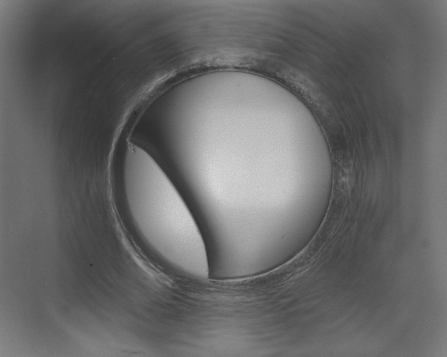 X0000073430678200607281006