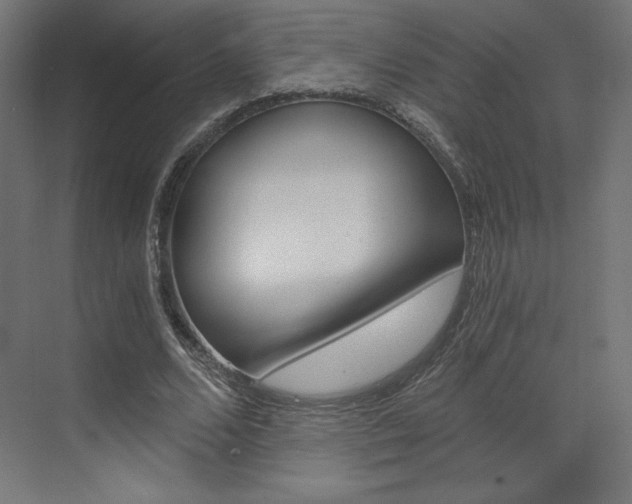 X0000073430680200607281006