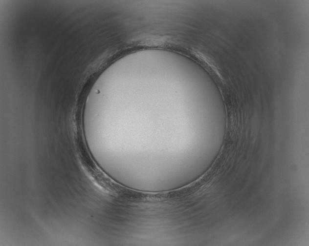 X0000073430682200607281006