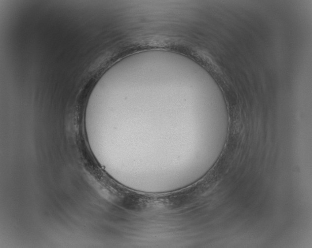 X0000073430683200607281006
