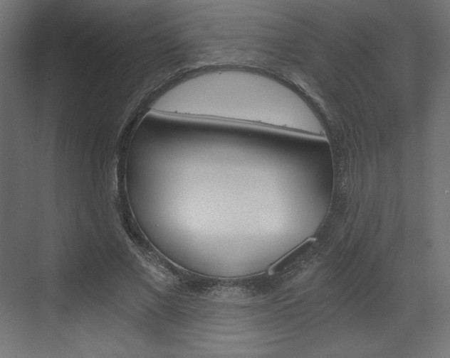 X0000073430685200607281006