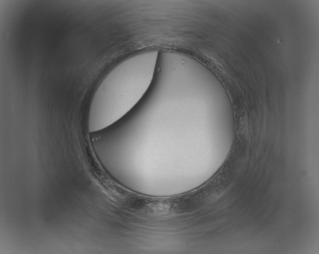 X0000073430687200607281006