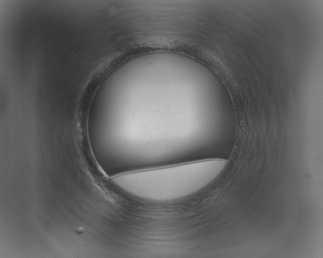 X0000073430688200607281006