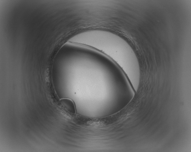 X0000073430689200607281006