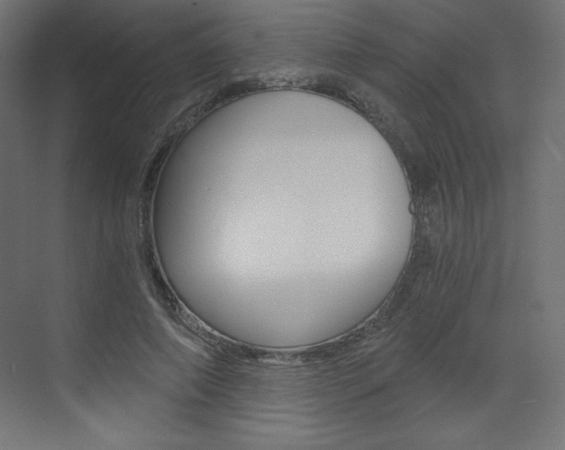 X0000073430690200607281006