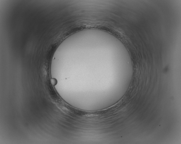 X0000073430691200607281006
