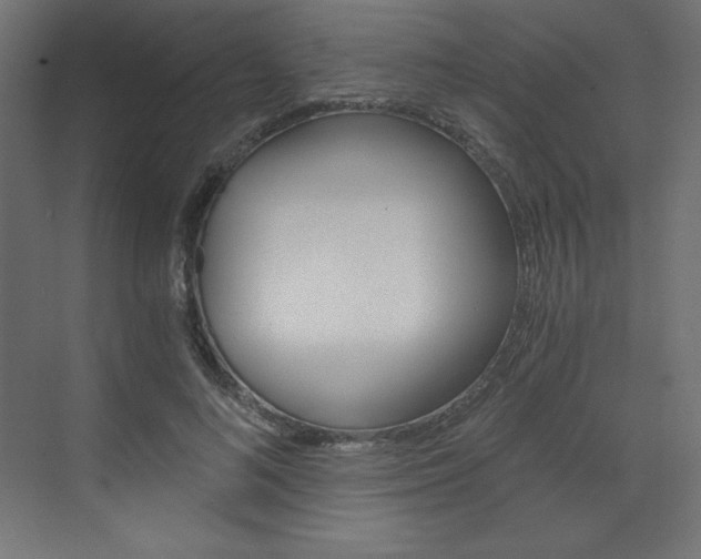 X0000073430692200607281006