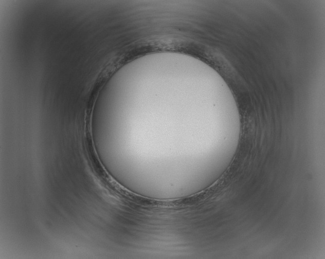 X0000073430694200607281005