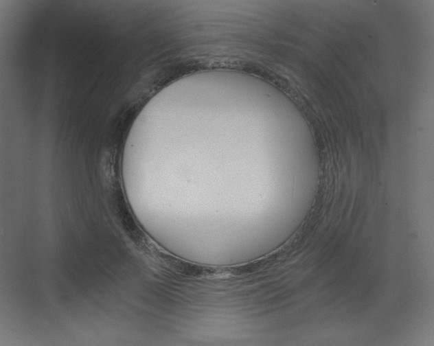 X0000073430695200607281005
