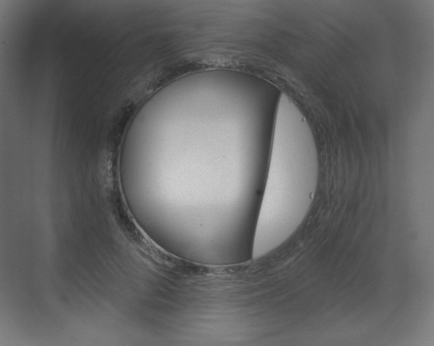 X0000073430696200607281005