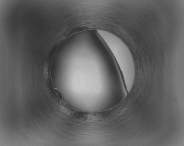 X0000073430697200607281005